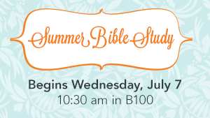 WIM Summer Bible Study